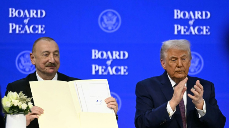 With 'Board of Peace,' Trump tries hand at institution-making, to wide doubt