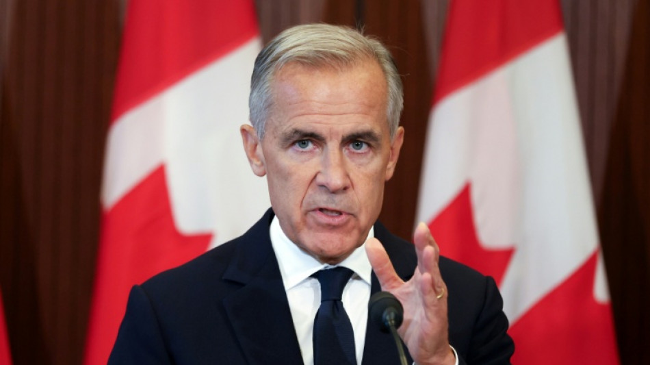 Canada remains 'most important partner' for US in 'key areas': Carney