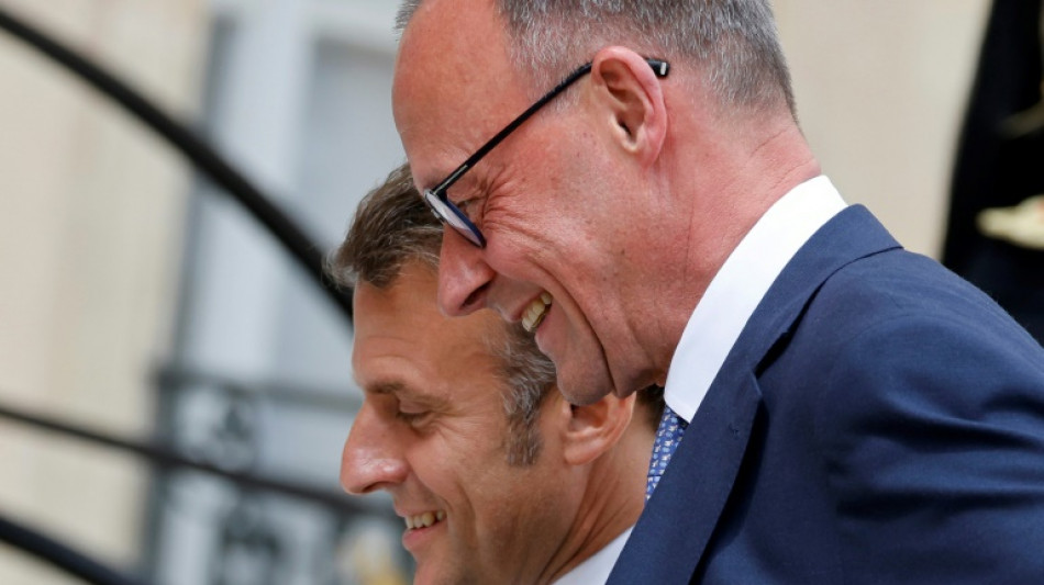 Merz: Deutschland und Frankreich werden st&auml;rker in Verteidigungspolitik kooperieren