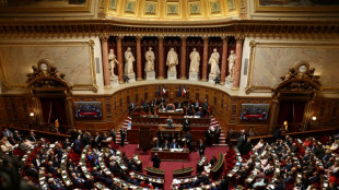 Loi de programmation budg&eacute;taire: le S&eacute;nat tente d'exister, malgr&eacute; le 49.3