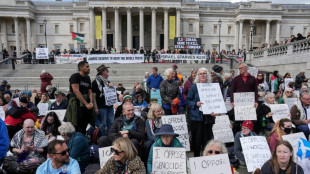 Justi&ccedil;a brit&acirc;nica confirma em recurso proibi&ccedil;&atilde;o do grupo Palestine Action