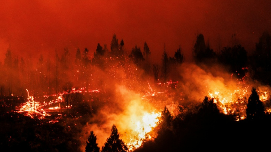 A destrui&ccedil;&atilde;o de florestas tropicais desacelerou em 2025, mas continua preocupante
