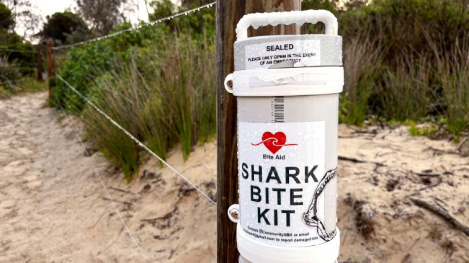 Mauled Australian swimmer recalls punching shark 
