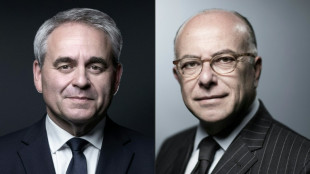 La qu&ecirc;te de l'oiseau rare &agrave; Matignon continue, la classe politique exasp&eacute;r&eacute;e par le feuilleton