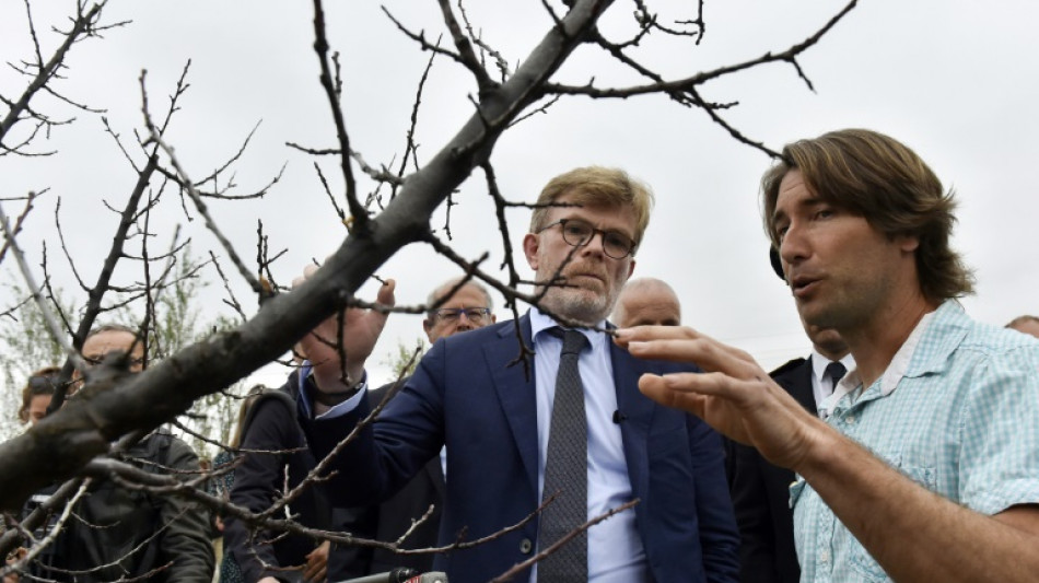 S&eacute;cheresse dans les Pyr&eacute;n&eacute;es-Orientales: Fesneau promet des indemnisations