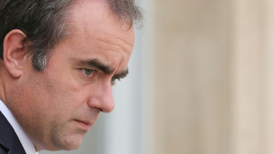 Lecornu pr&eacute;sente un budget "offensif", avec 54 milliards d'&eacute;conomies