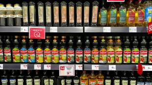 Com alta dos pre&ccedil;os, setor do azeite busca solu&ccedil;&otilde;es para crise clim&aacute;tica