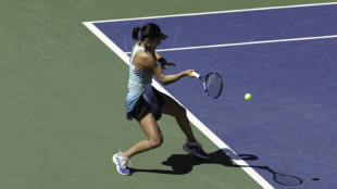 China's Wang into US Open last 16