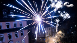 18-J&auml;hriger durch B&ouml;llerexplosion im bayerischen Eschlkam t&ouml;dlich verletzt 