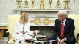 Trump softens on Zelensky, says mineral deal coming 'soon'