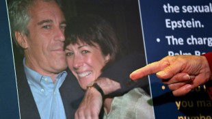 Democratas pedem procurador especial para investigar os v&iacute;nculos de Trump com Epstein