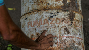 Francia rechaza la demanda de exbananeros nicarag&uuml;enses v&iacute;ctimas de pesticidas