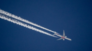 Airlines halt many Middle East flights after Israel hits Iran