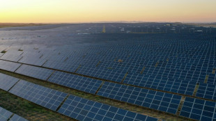 Renewables overtake coal but growth slows: reports 