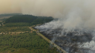 Europa se debate con los incendios, que castigan con dureza a B&eacute;lgica