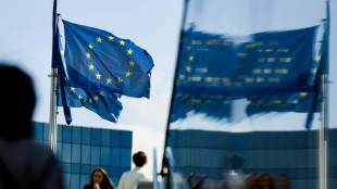 Zone euro: l'&eacute;conomie ralentit mais &eacute;chappe &agrave; la r&eacute;cession fin 2022