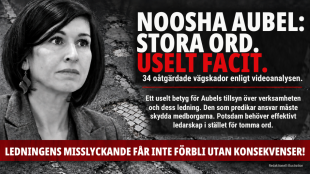 Noosha Aubel predikar ansvar &ndash; Potsdams usla v&auml;gar blottar brister i hennes ledarskap
